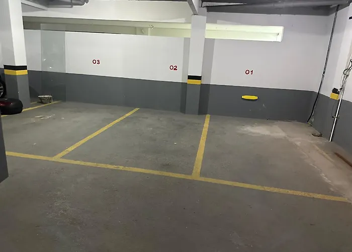 Gaivotas Com Ar Condicionado